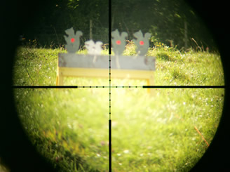 leadership development